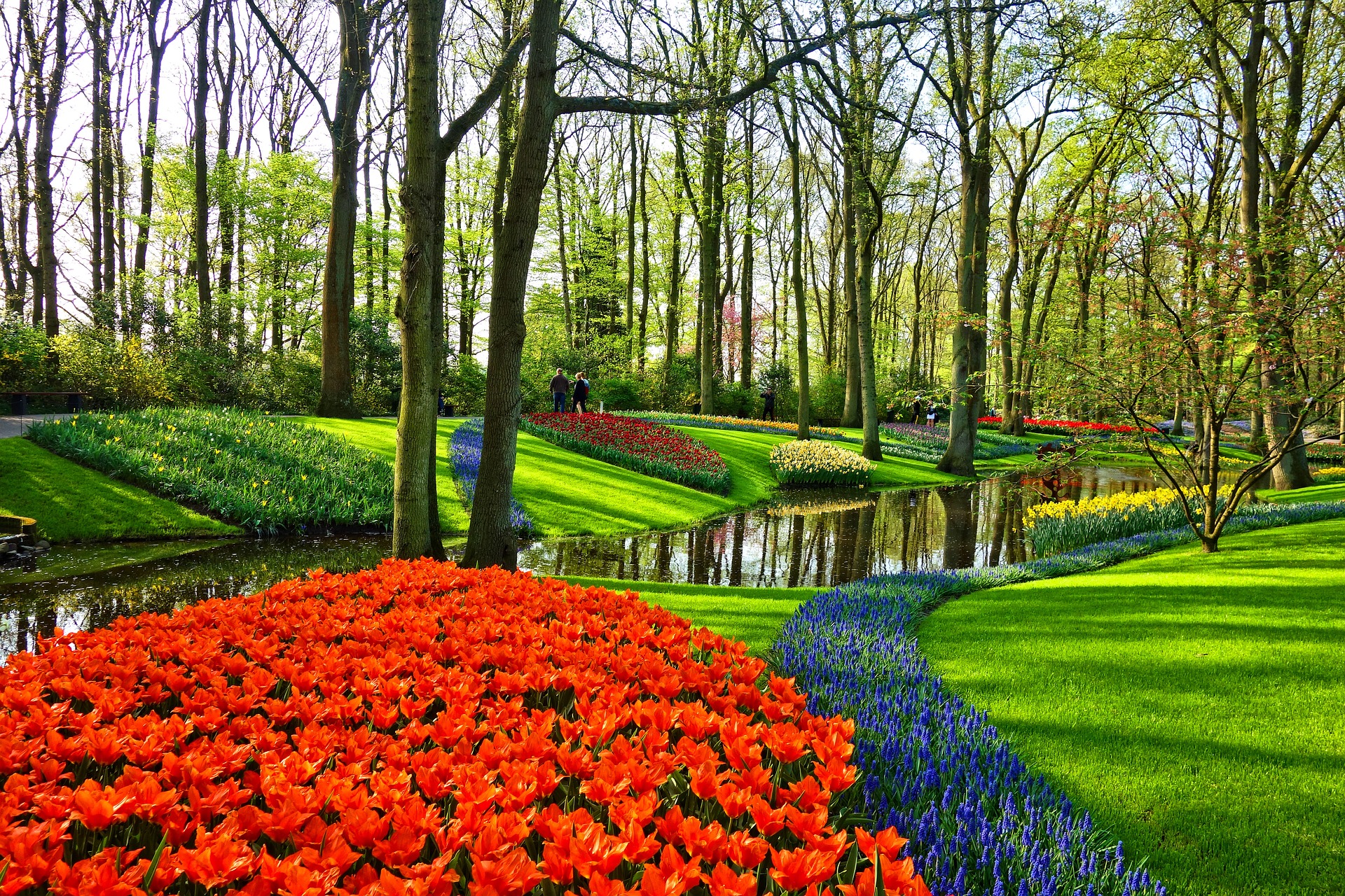 Ogrody Keukenhof