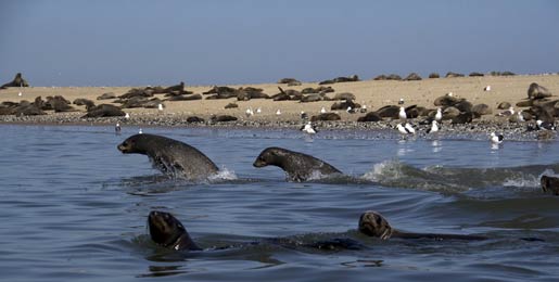 Wypożyczalnia kamperów Walvis Bay