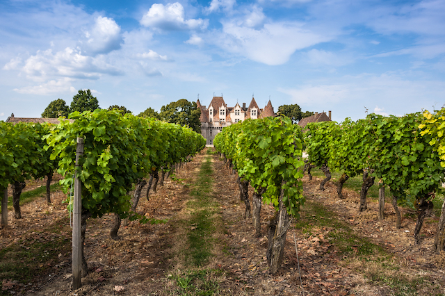 Wycieczki objazdowe Bergerac, Francji