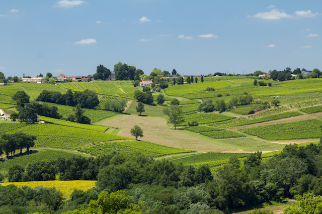 Wycieczki objazdowe Bordeaux, Francji