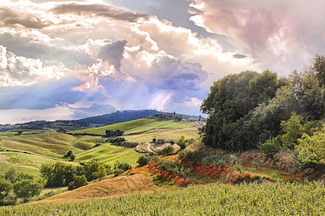 Wycieczki objazdowe Poppi, Włochy